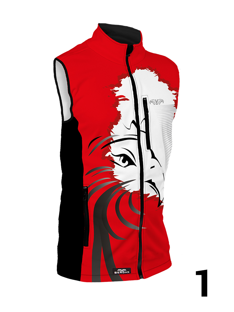 Team Poland - obrazek 2