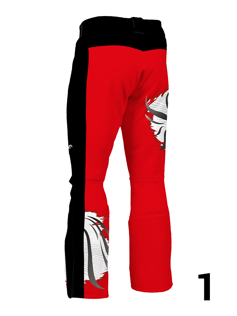 Team Poland - obrazek 3